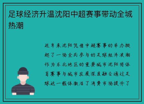 足球经济升温沈阳中超赛事带动全城热潮
