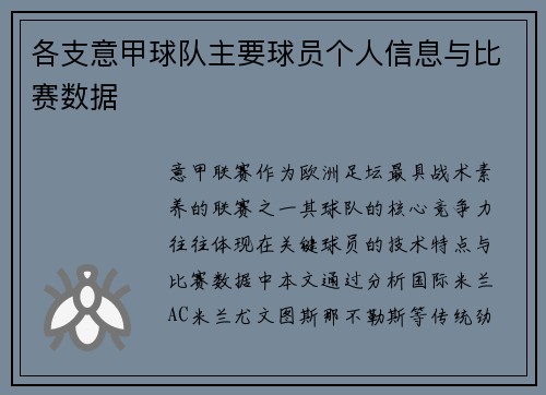 各支意甲球队主要球员个人信息与比赛数据